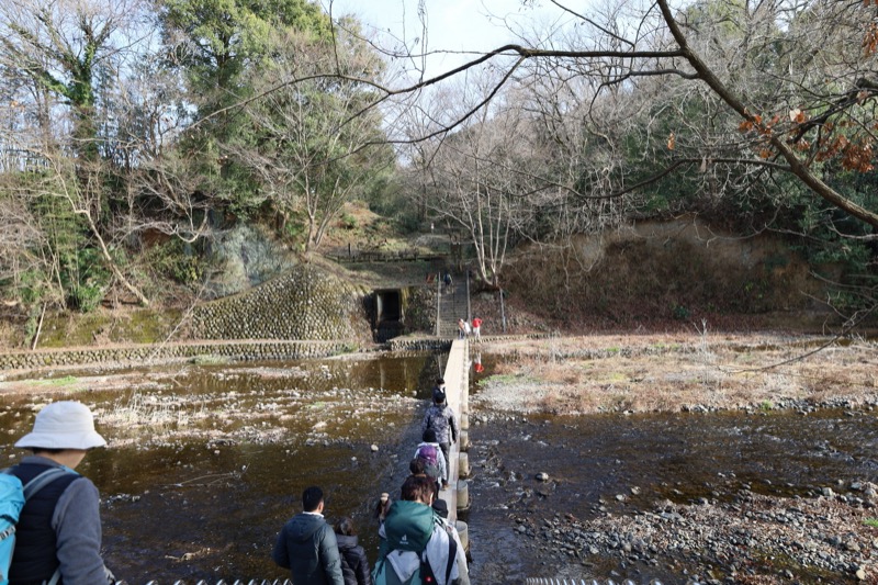 日和田山、物見山